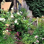 Idyllisches Naehe Duemmer Auszeit Sauna 別荘 *