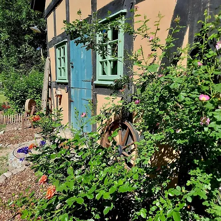 Fachwerkhof Donstorf: Idyllic Nature Retreat With Crane Watching * Rehden