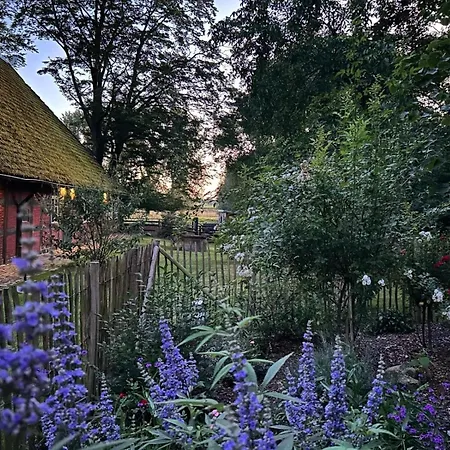 Holiday home Fachwerkhof Donstorf: Idyllic Nature Retreat With Crane Watching *