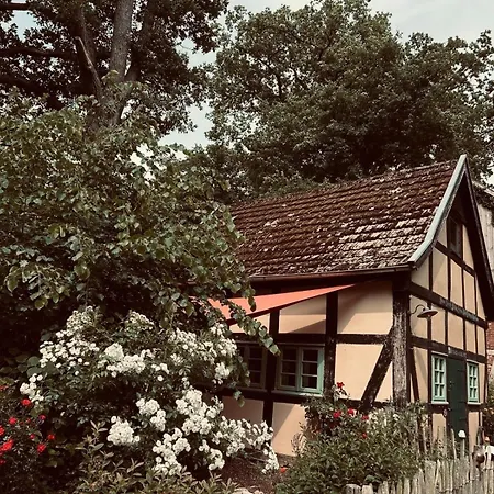 Auszeit Vom Alltag In Urigem In Idyllischer Im Duemmer-weserland, Sauna & Kraniche * Eydelstedt
