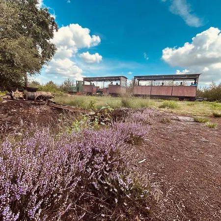 Idyllisches Naehe Duemmer Auszeit Sauna * Eydelstedt