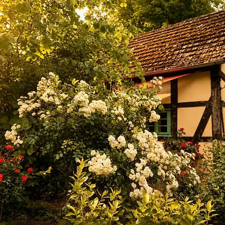 Idyllisches Naehe Duemmer Auszeit Sauna *