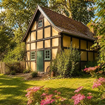 Idyllisches Naehe Duemmer Auszeit Sauna 別荘
