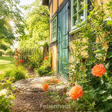 Feriehus Idyllisches Naehe Duemmer Auszeit Sauna Kraniche *