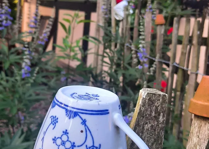 Auszeit Vom Alltag In Urigem In Idyllischer Im Duemmer-weserland, Sauna & Kraniche Vakantiehuis *