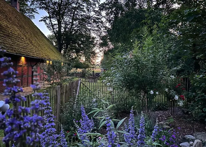 Vakantiehuis Auszeit Vom Alltag In Urigem In Idyllischer Im Duemmer-weserland, Sauna & Kraniche *