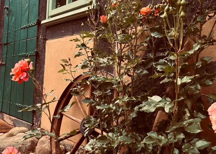 Vakantiehuis Auszeit Vom Alltag In Urigem In Idyllischer Im Duemmer-weserland, Sauna & Kraniche Eydelstedt