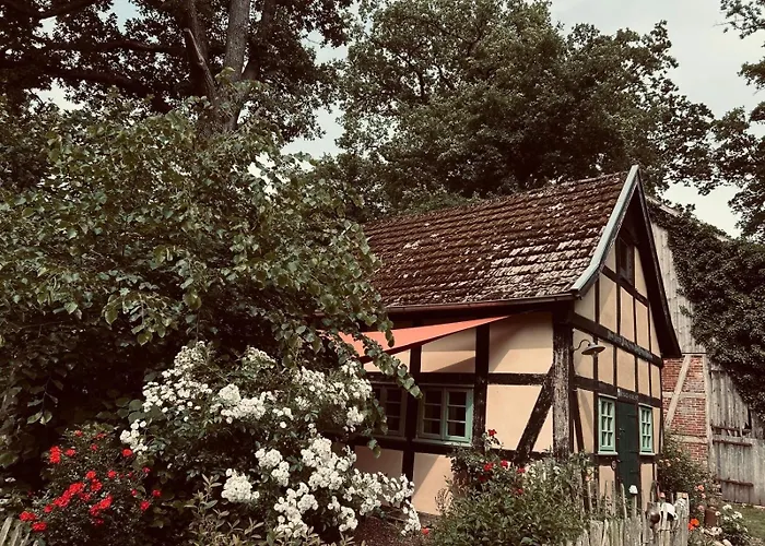 Auszeit Vom Alltag In Urigem In Idyllischer Im Duemmer-weserland, Sauna & Kraniche * Eydelstedt
